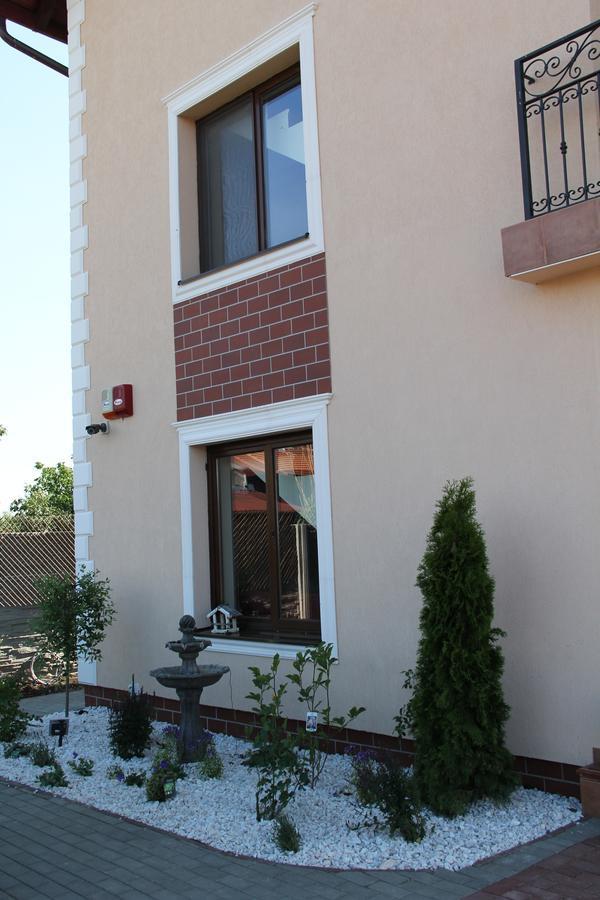 Pensiunea Gradina Verde Becicherecu Mic Экстерьер фото
