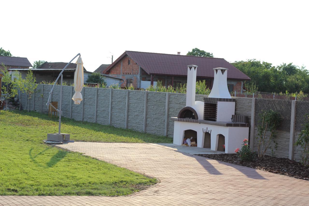 Pensiunea Gradina Verde Becicherecu Mic Экстерьер фото